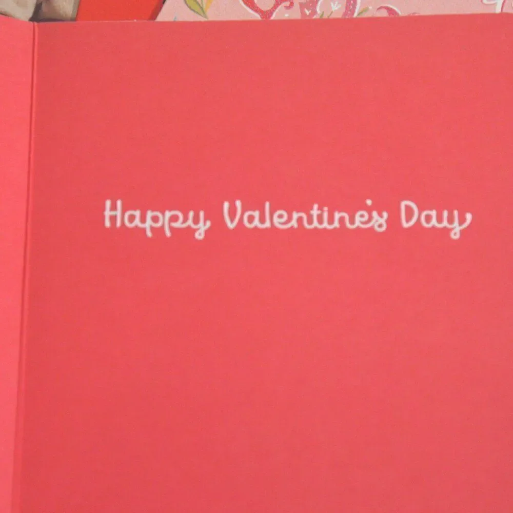 Valentines Day Cards Various Brand New with Envelopes